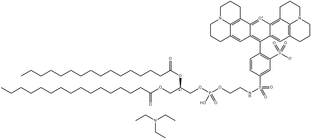 SULFORHODAMINE 101 DHPE Struktur