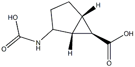 Bicyclo[3.1.0]hexane-6-carboxylic acid, 2-(carboxyamino)-, (1R,5S,6R)-rel-[partial]- (9CI) Struktur