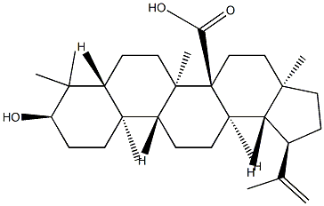 BACOSINE Struktur