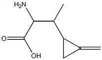 α-Amino-β-methyl-2-methylenecyclopropanepropionic acid Struktur