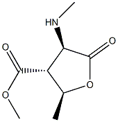 Arabinonicacid,2,3,5-trideoxy-3-(methoxycarbonyl)-2-(methylamino)-,gamma- Struktur