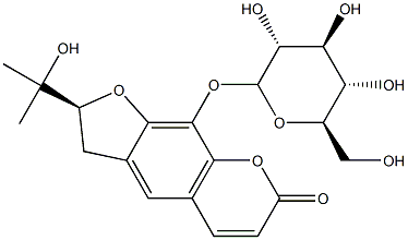 RUTARIN Struktur