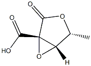 D-Lyxonic acid, 2,3-anhydro-2-C-carboxy-5-deoxy-, 1,4-lactone (9CI) Struktur