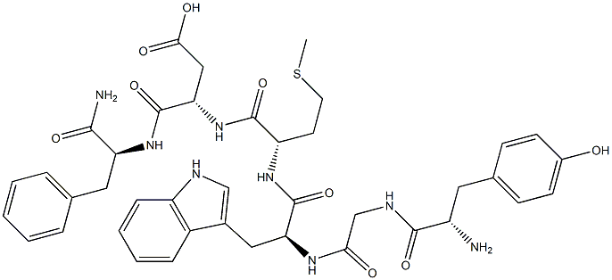 gastrin hexapeptide Struktur