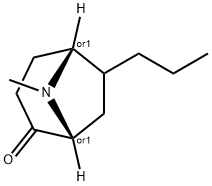 8-Azabicyclo[3.2.1]octan-2-one,8-methyl-6-propyl-,(1R,5R)-rel-(9CI) Struktur