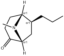 8-Azabicyclo[3.2.1]octan-2-one,8-methyl-6-propyl-,(1R,5R,6S)-rel-(9CI) Struktur