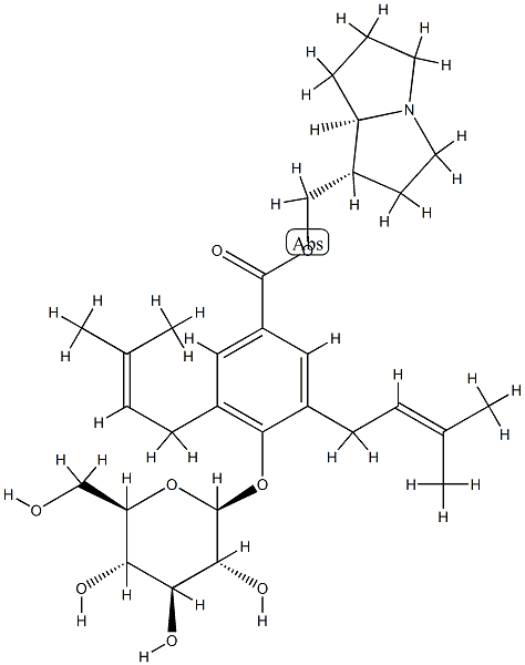 Auriculine Struktur