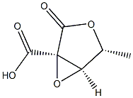 D-Ribonic acid, 2,3-anhydro-2-C-carboxy-5-deoxy-, 1,4-lactone (9CI) Struktur