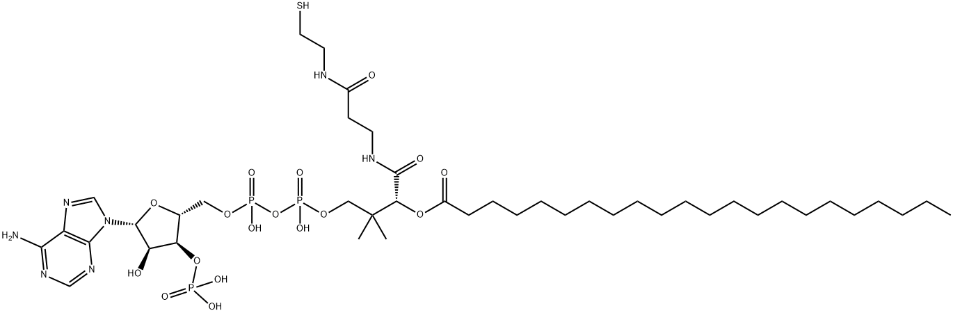 behenyl-coenzyme A Struktur