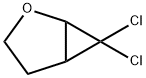 2-Oxabicyclo[3.1.0]hexane, 6,6-dichloro- Struktur