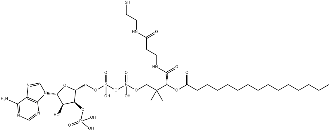 24870-39-1 結(jié)構(gòu)式