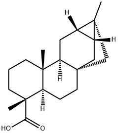 (5α,8β,9α,10β,12β,13R,16S)-Trachyloban-18-oic acid Struktur