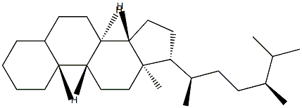 (10α)-Ergostane Struktur