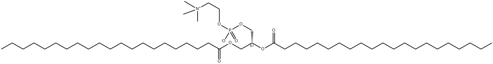 1,2-dihenarachidoyl-sn-glycero-3-phosphocholine Struktur