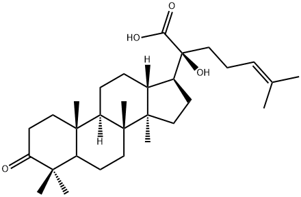 20-Hydroxy-3-oxo-5α-dammar-24-en-21-oic acid Struktur