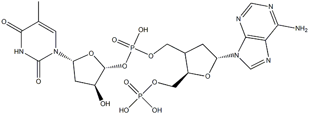 Poly dA-dT Struktur