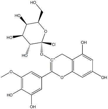 28500-02-9 結(jié)構(gòu)式