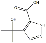 1H-Pyrazole-3-carboxylicacid,4-(1-hydroxy-1-methylethyl)-(9CI) Struktur