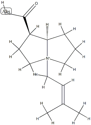 (1R,7aβ)-1α-Carboxylatohexahydro-4-(3-methyl-2-butenyl)-1H-pyrrolizin-4-ium Struktur