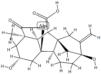 GA29 Struktur