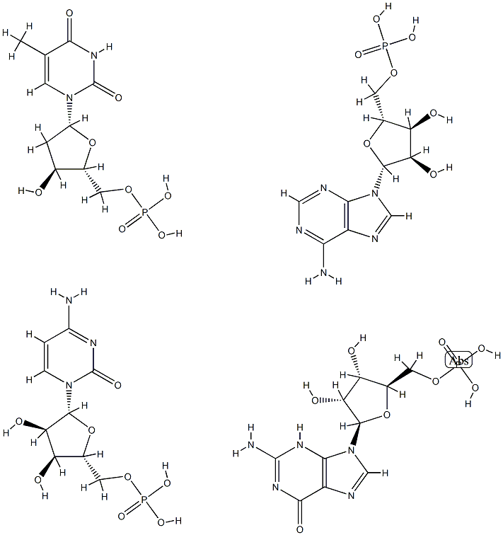 poly(d(A,C,G,T)) Struktur