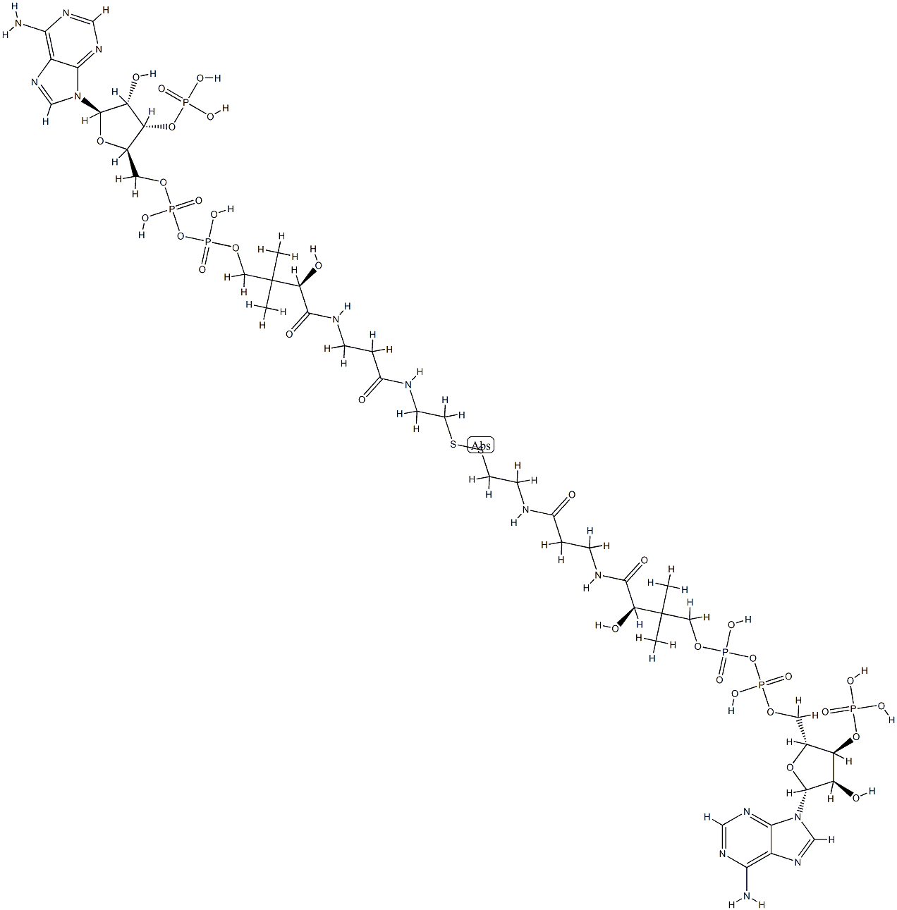 coenzyme A disulfide Struktur