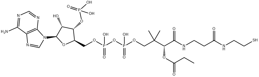 S-propionylcoenzyme A Struktur