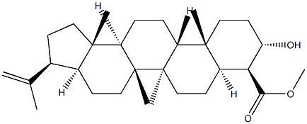 (4S)-3β-Hydroxy-A'-neogammacer-22(29)-en-23-oic acid Struktur