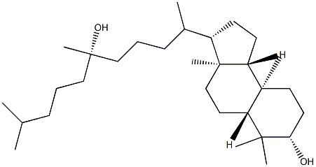 15-Methyl-D-homo-C,30-dinor-13,17a-seco-5α-dammarane-3β,20-diol Struktur