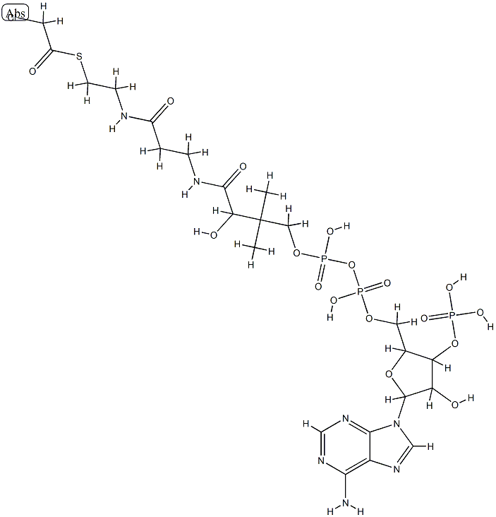 chloroacetyl coenzyme A Struktur