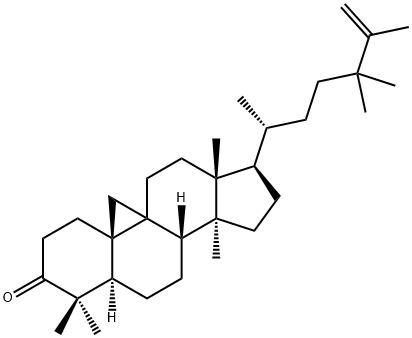 24,24-Dimethyl-9β,19-cyclo-5α-lanosta-25-ene-3-one Struktur