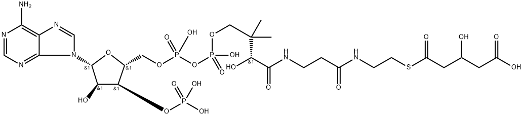 3-hydroxyglutaryl-coenzyme A Struktur