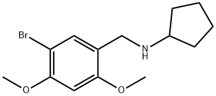 N-(5-bromo-2,4-dimethoxybenzyl)cyclopentanamine Struktur