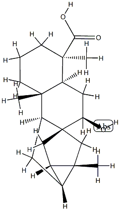 7α-Hydroxytrachyloban-18-oic acid Struktur