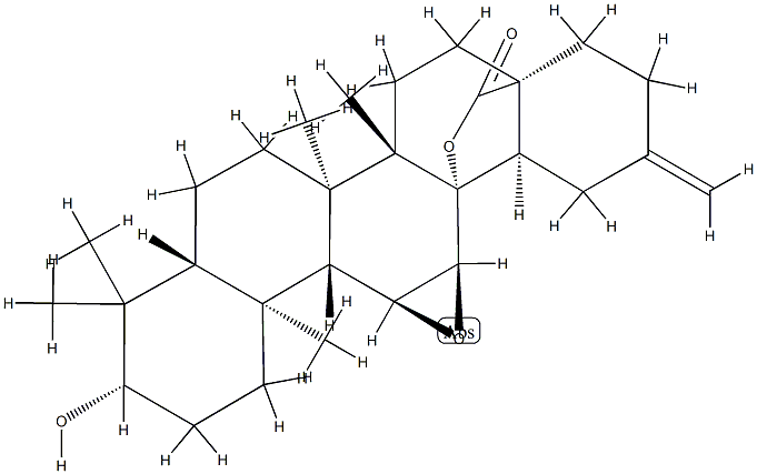 11α,12α-Epoxy-3β,13-dihydroxy-30-norolean-20(29)-en-28-oic acid γ-lactone Struktur