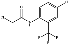 2-Chloro-N-(4-chloro-2-trifluoromethyl-phenyl)-acetamide Struktur