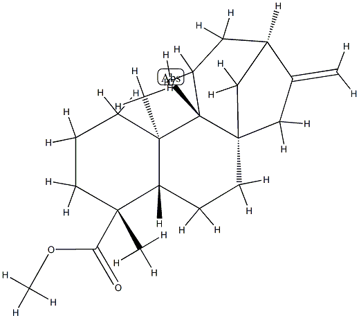 (4R)-9-Hydroxykaur-16-en-18-oic acid methyl ester Struktur