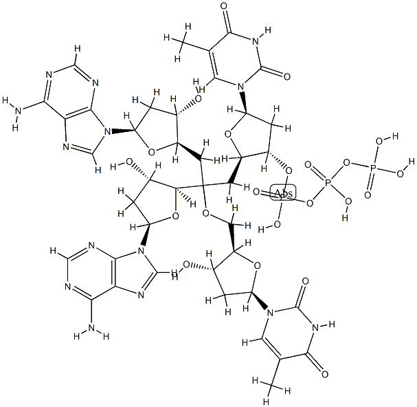 deoxy-(thymidylyl-adenylyl-thymidylyl-adenylic acid) Struktur