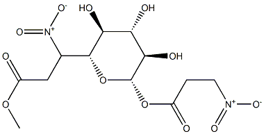 Cibarian Struktur