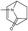 6-Azabicyclo[3.2.1]oct-3-en-7-one,6-methyl-(9CI) Struktur