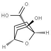 7-Oxabicyclo[2.2.1]hept-5-ene-2-carboxylicacid,2-hydroxy-,(1R,2R,4R)-rel-(9CI) Struktur