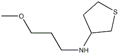 3-Thiophenamine,tetrahydro-N-(3-methoxypropyl)-(9CI) Struktur