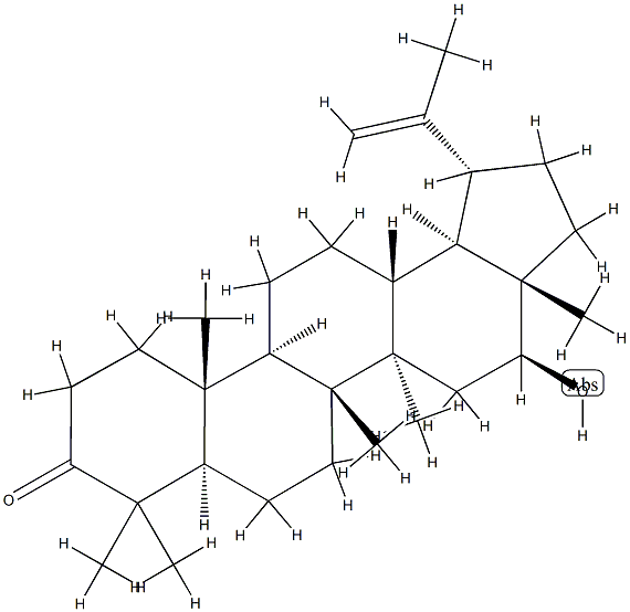 16β-Hydroxylup-20(29)-en-3-one Struktur