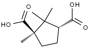 isocamphoric acid Struktur