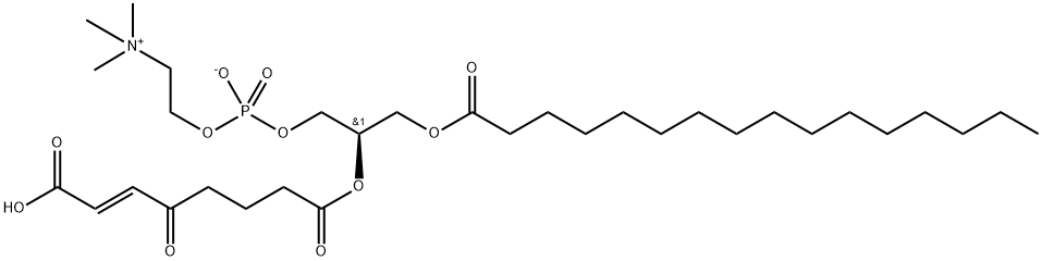 439904-33-3 結(jié)構(gòu)式