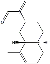 alpha-COSTAL Struktur