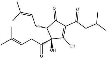 TRANS-ISOHUMULONE Struktur