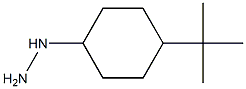 1-(4-tert-butylcyclohexyl)hydrazine Struktur