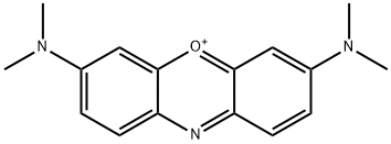 capriblue GN Struktur