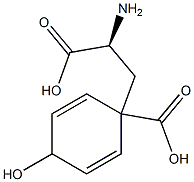 pretyrosine Struktur